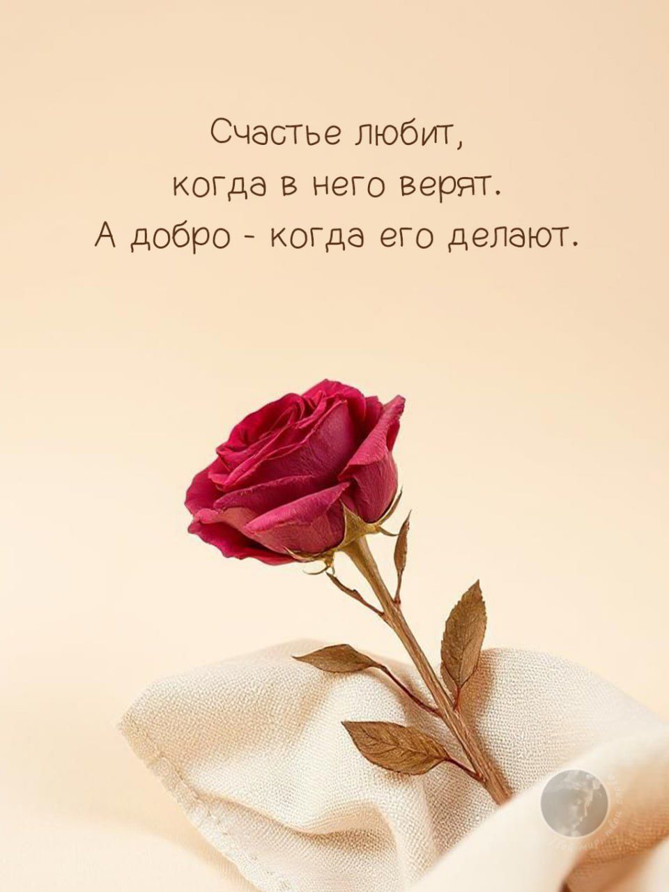 Счастье любит, когда в него верят. А добро - когда его делают.