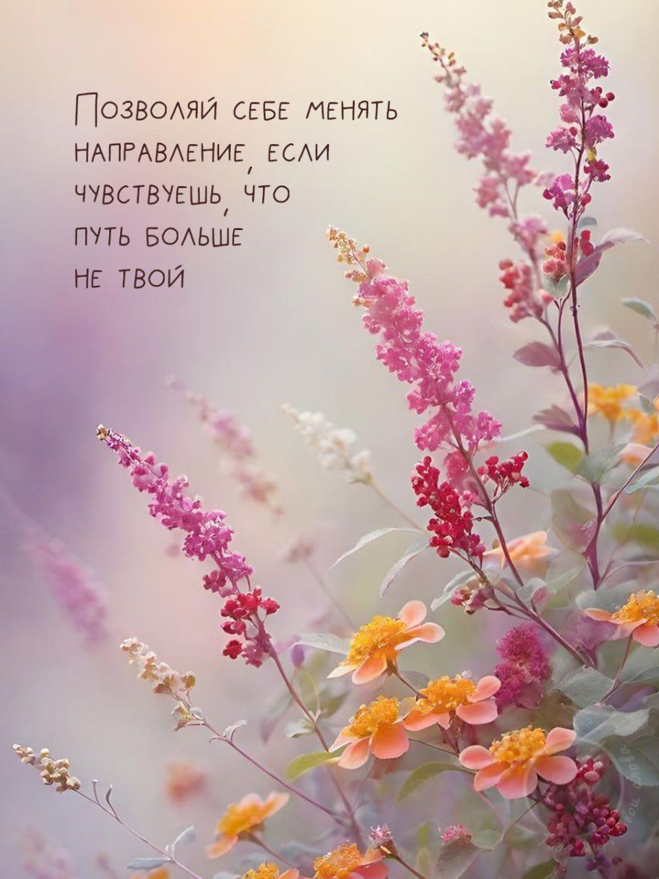 Позволяй себе менять направление, если чувствуешь, что путь больше не твой