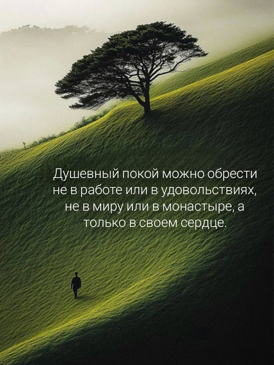 Душевный покой можно обрести не в работе или в удовольствиях, не в миру или в монастыре, а только в своем сердце.