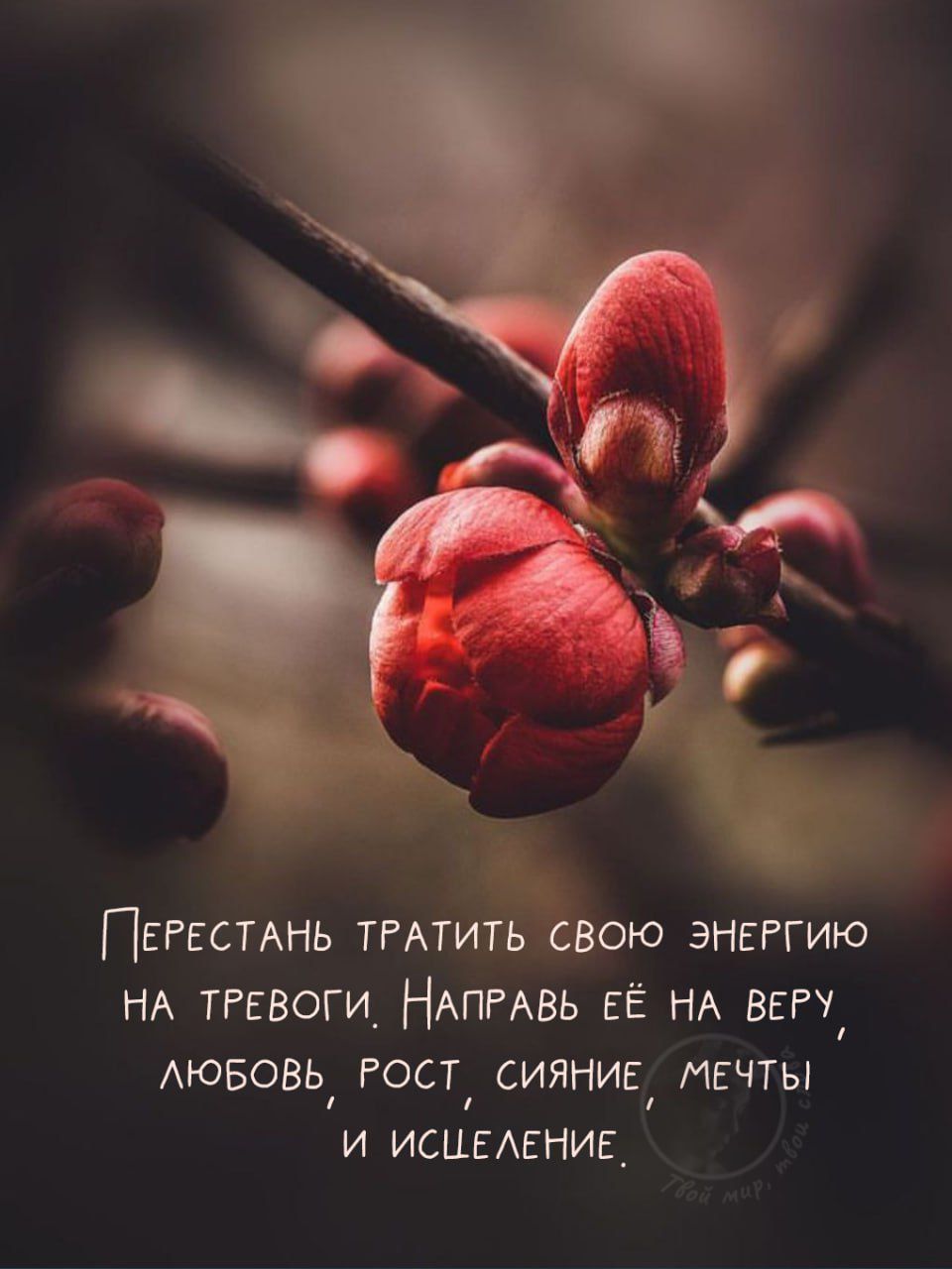 Перестань тратить свою энергию на тревоги. Направь её на веру, любовь, рост, сияние, мечты и исцеление.