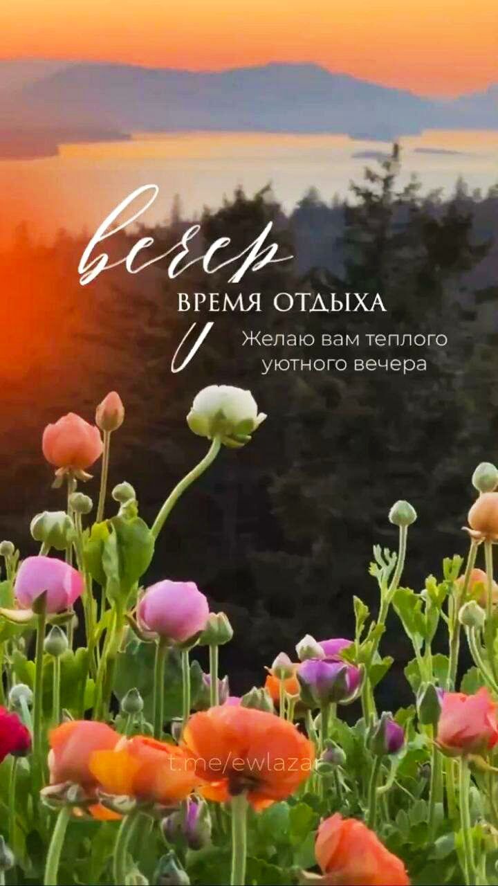 вечер
время отдыха
Желаю вам теплого уютного вечера