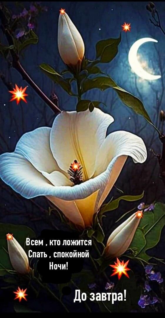 Всем , кто ложится Спать , спокойной Ночи! До завтра!