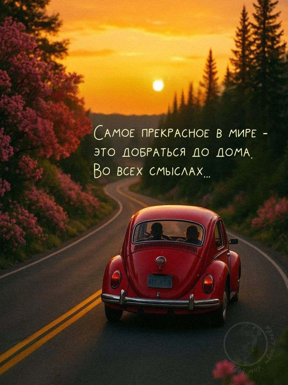 Самое прекрасное в мире - это добраться до дома. Во всех смыслах...