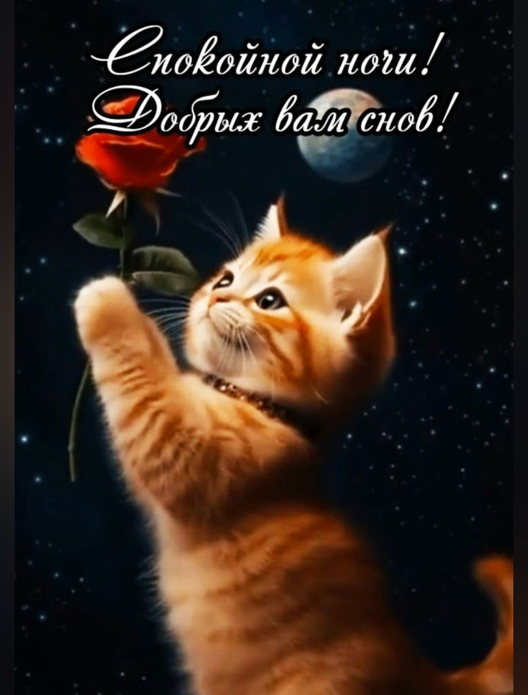 Спокойной ночи! Добрых вам снов!