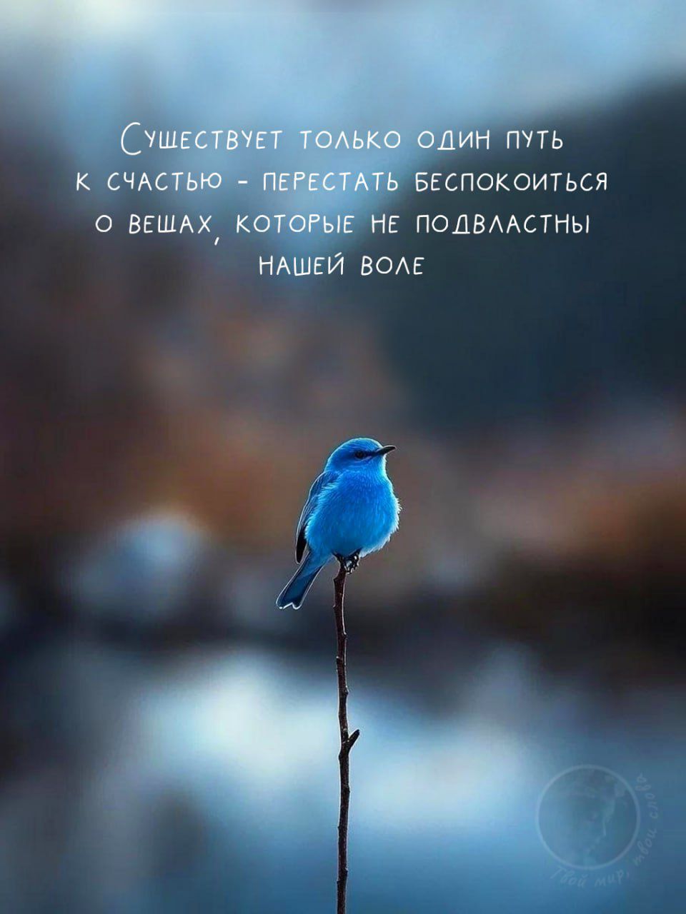 Существует только один путь к счастью - перестать беспокоиться о вещах, которые не подвержны нашей воле