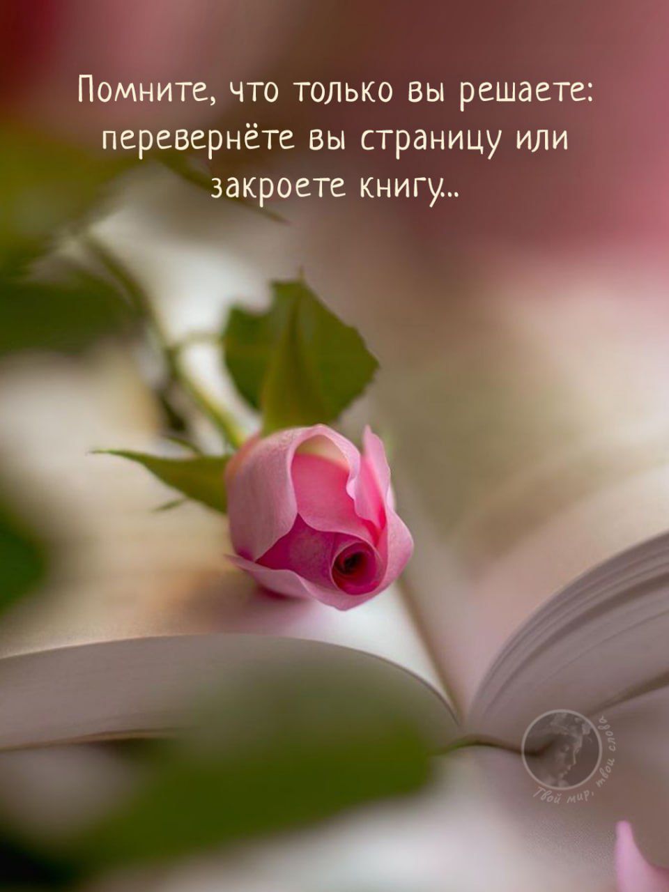 Помните, что только вы решаете: перевернёте вы страницу или закроете книгу...