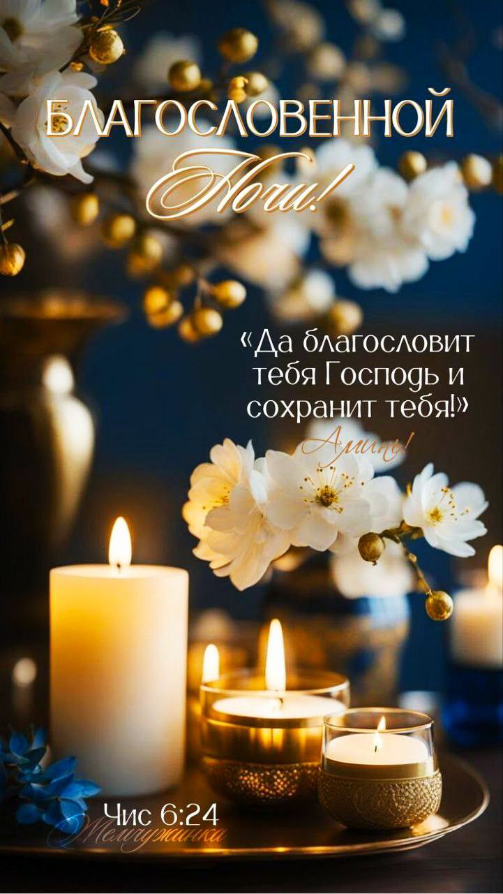 БЛАГОСЛОВЕННОЙ НОЧИ! 