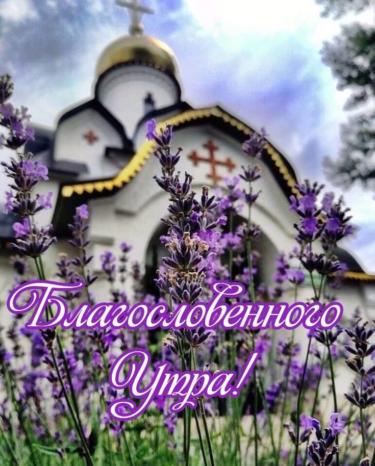 Благословенного Утра!