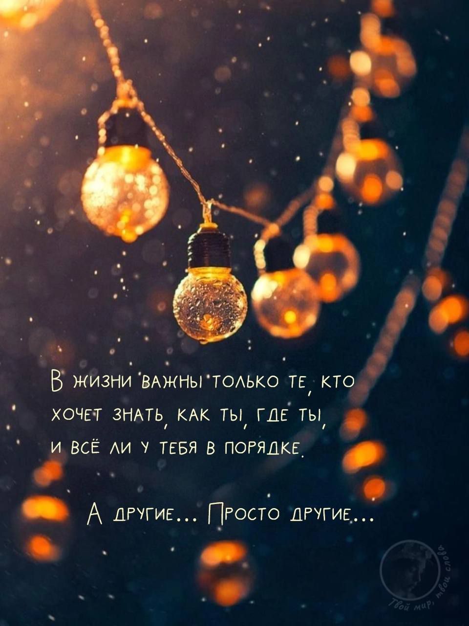 В жизни важны только те, кто хочет знать, как ты, где ты, и всё ли у тебя в порядке.
А другие... Просто другие...
