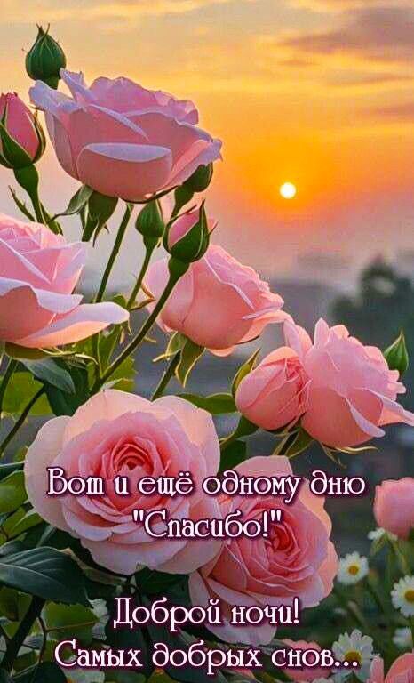 Вот и ещё одному дню 