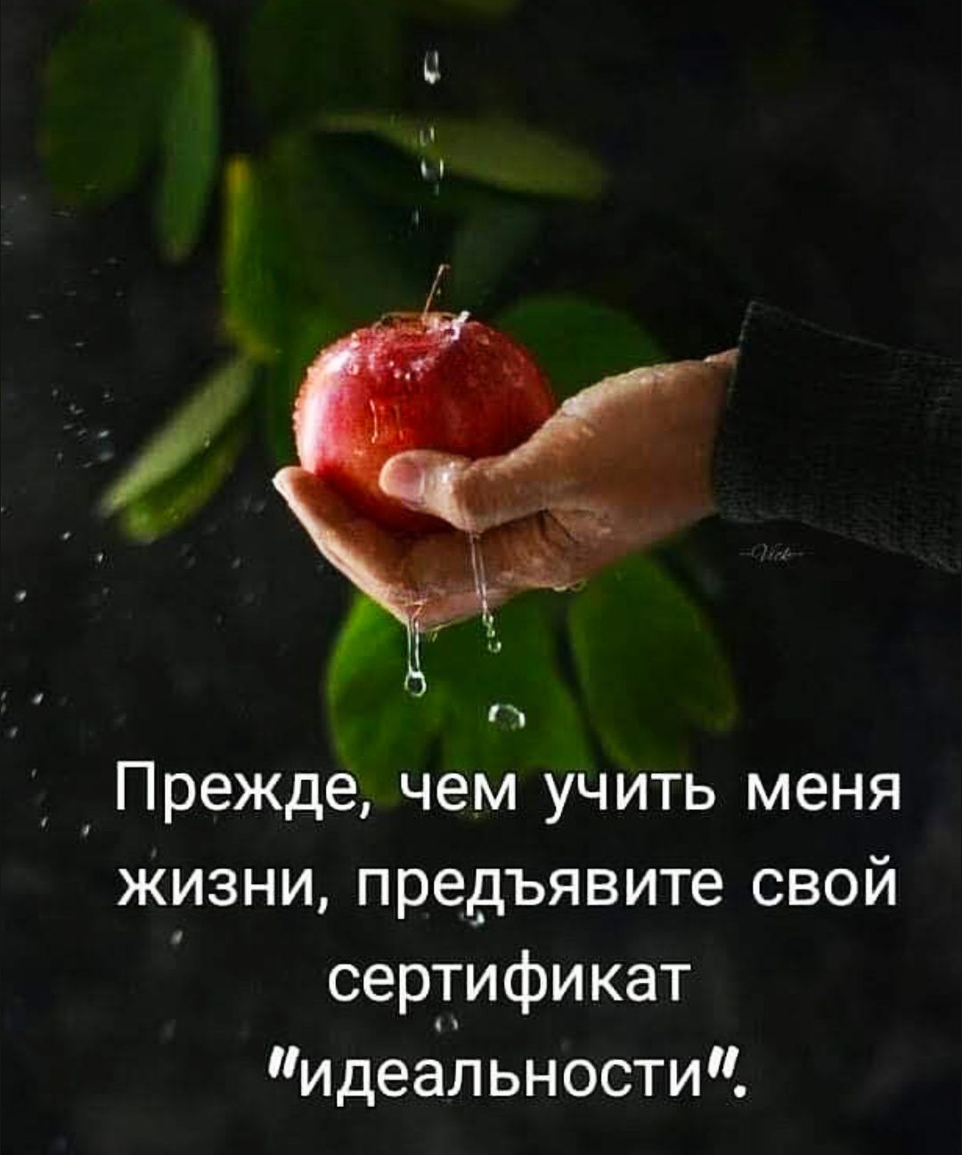 Прежде, чем учить меня жизни, предьявите свой сертификат 