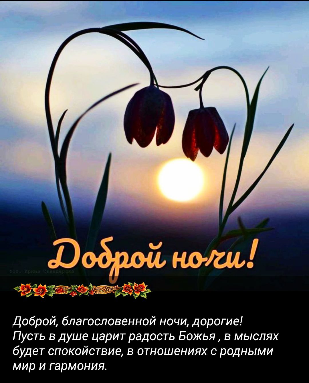 Доброй, благословенной ночи, дорогие! Пусть в душе царит радость Божья, в мыслях будет спокойствие, в отношениях с родными мир и гармония.