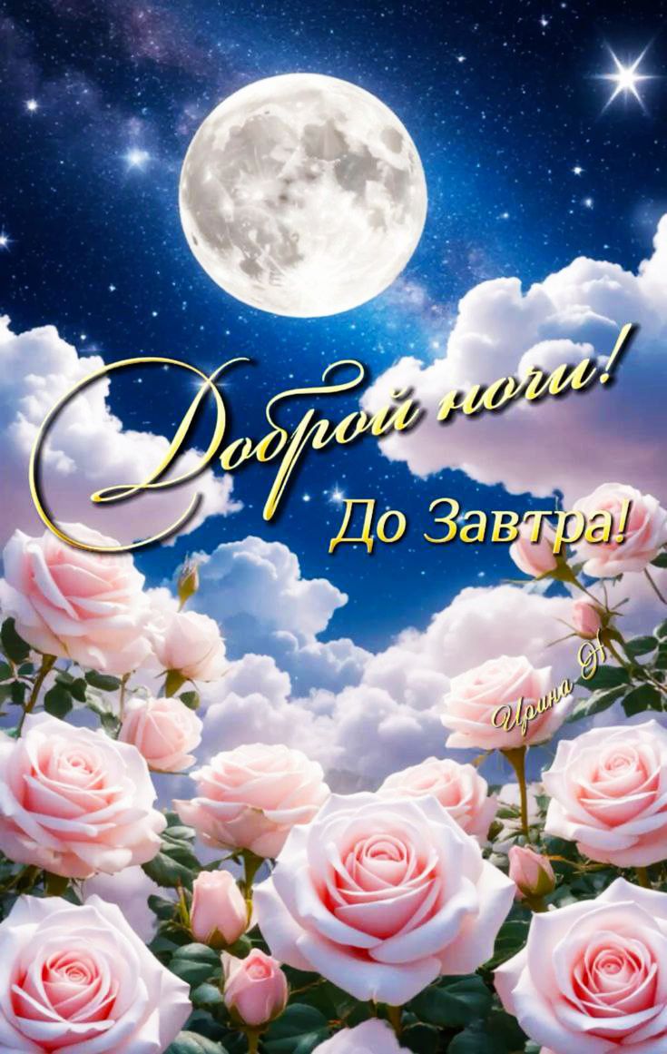 Доброй ночи! До Завтра!