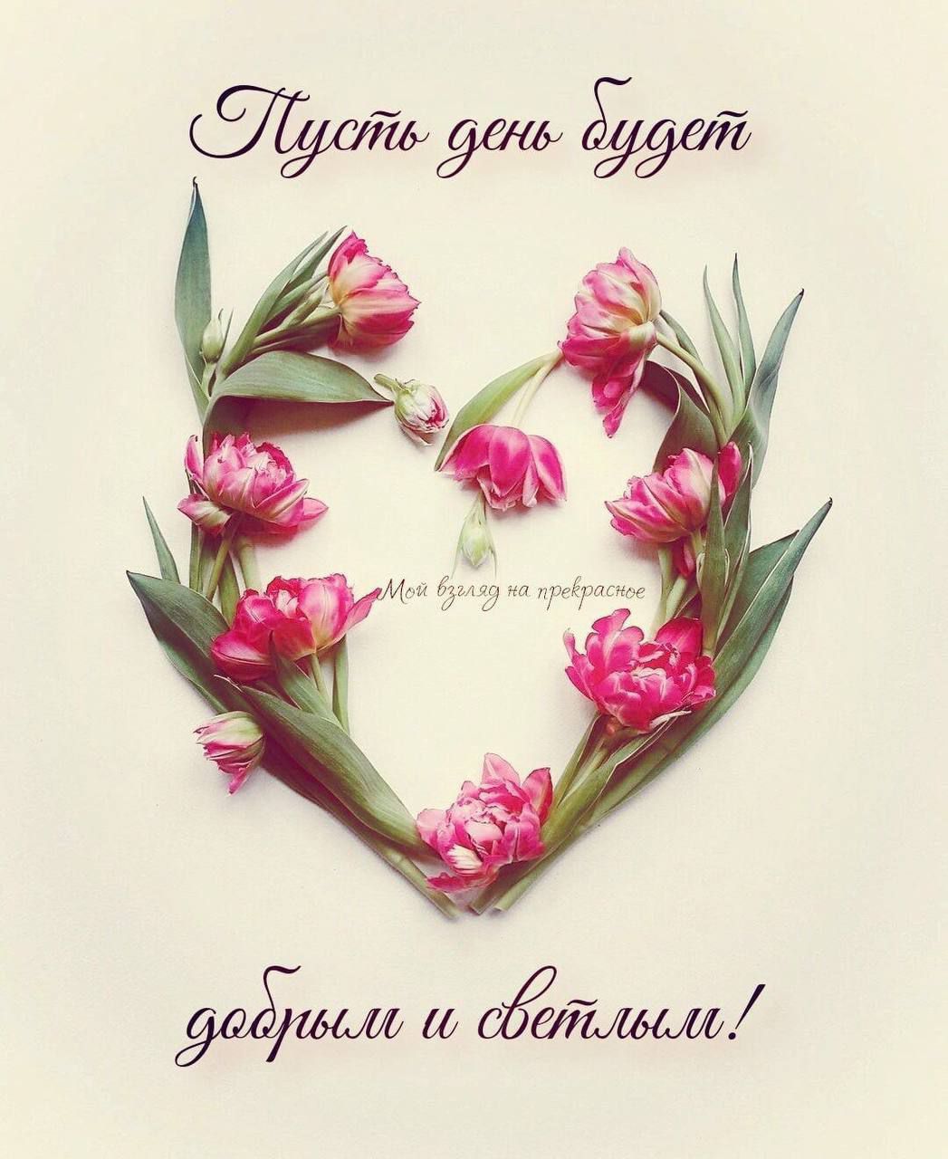 Пусть день будет добрым и светлым!
Мой взгляд на прекрасное