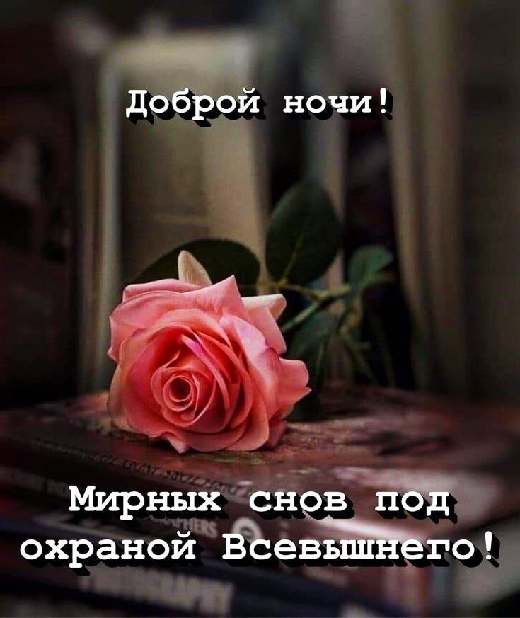 Доброй ночи! Мирных снов под охраной Всевышнего!