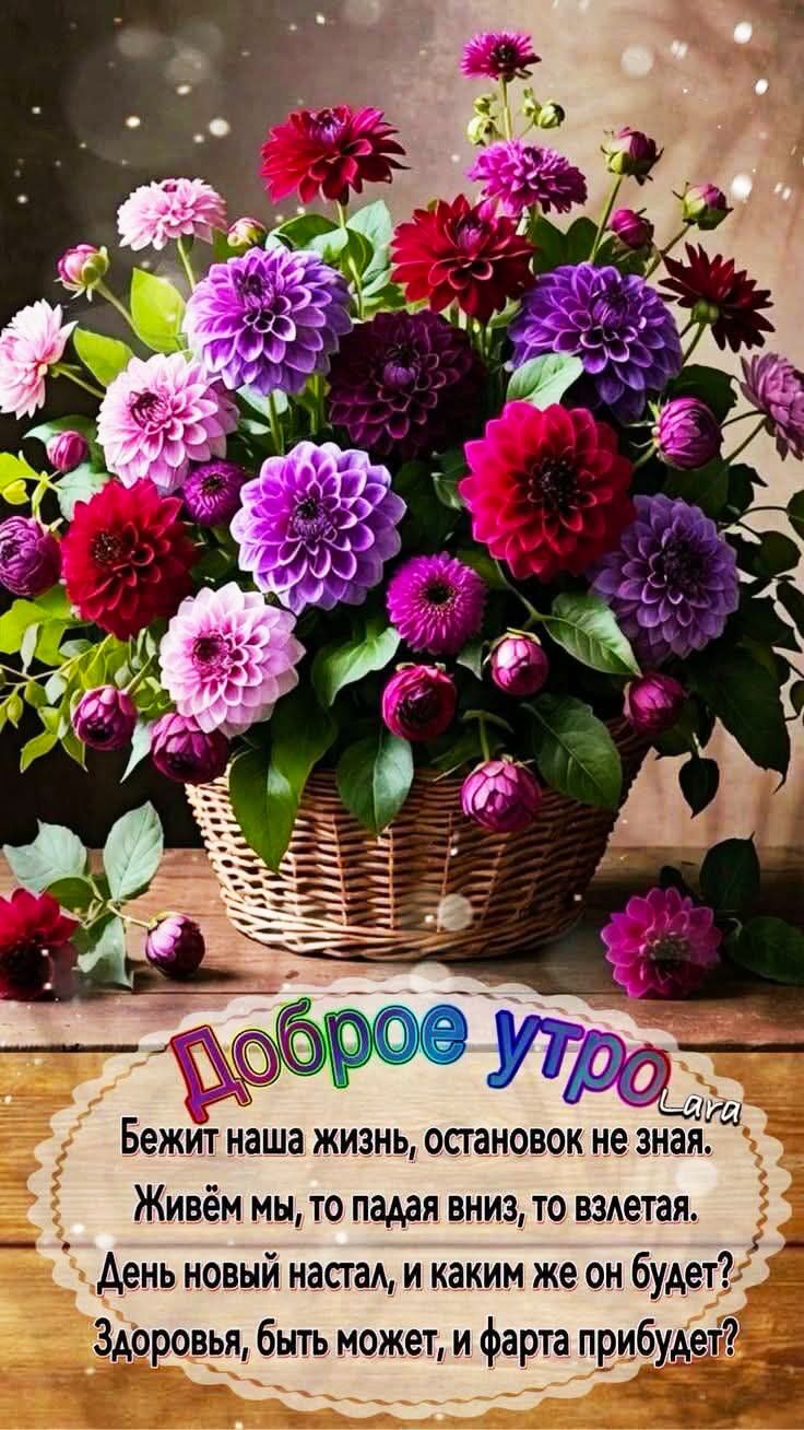 Доброе утро
Бежит наша жизнь, остановок не зная.
Живём мы, то падая вниз, то взлетая.
День новый настал, и каким же он будет?
Здоровья, быть может, и фартa прибудет?