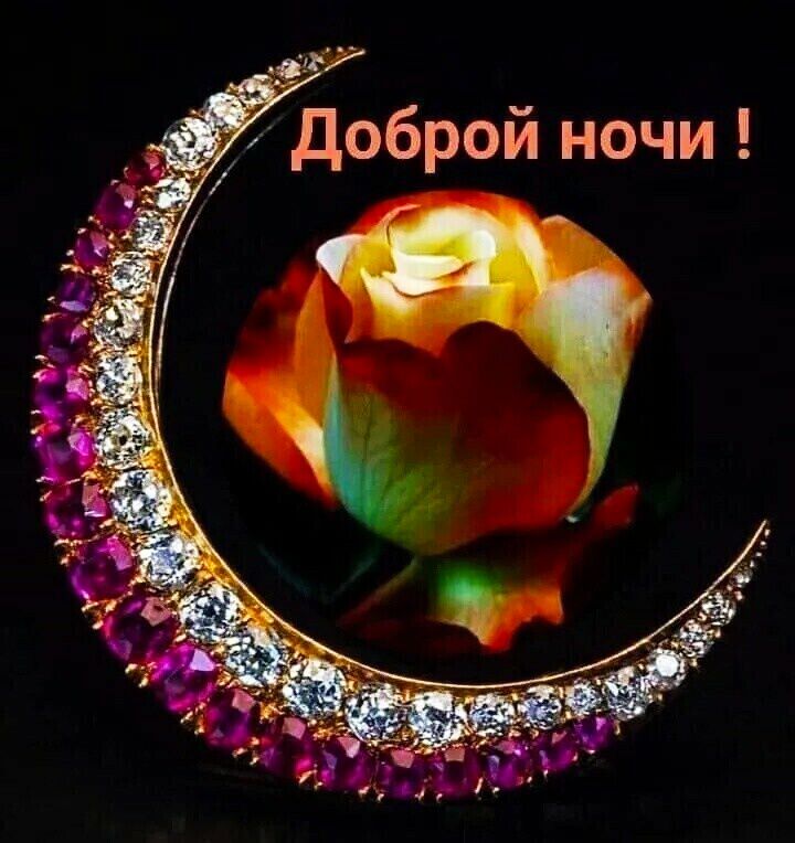 Доброй ночи !
