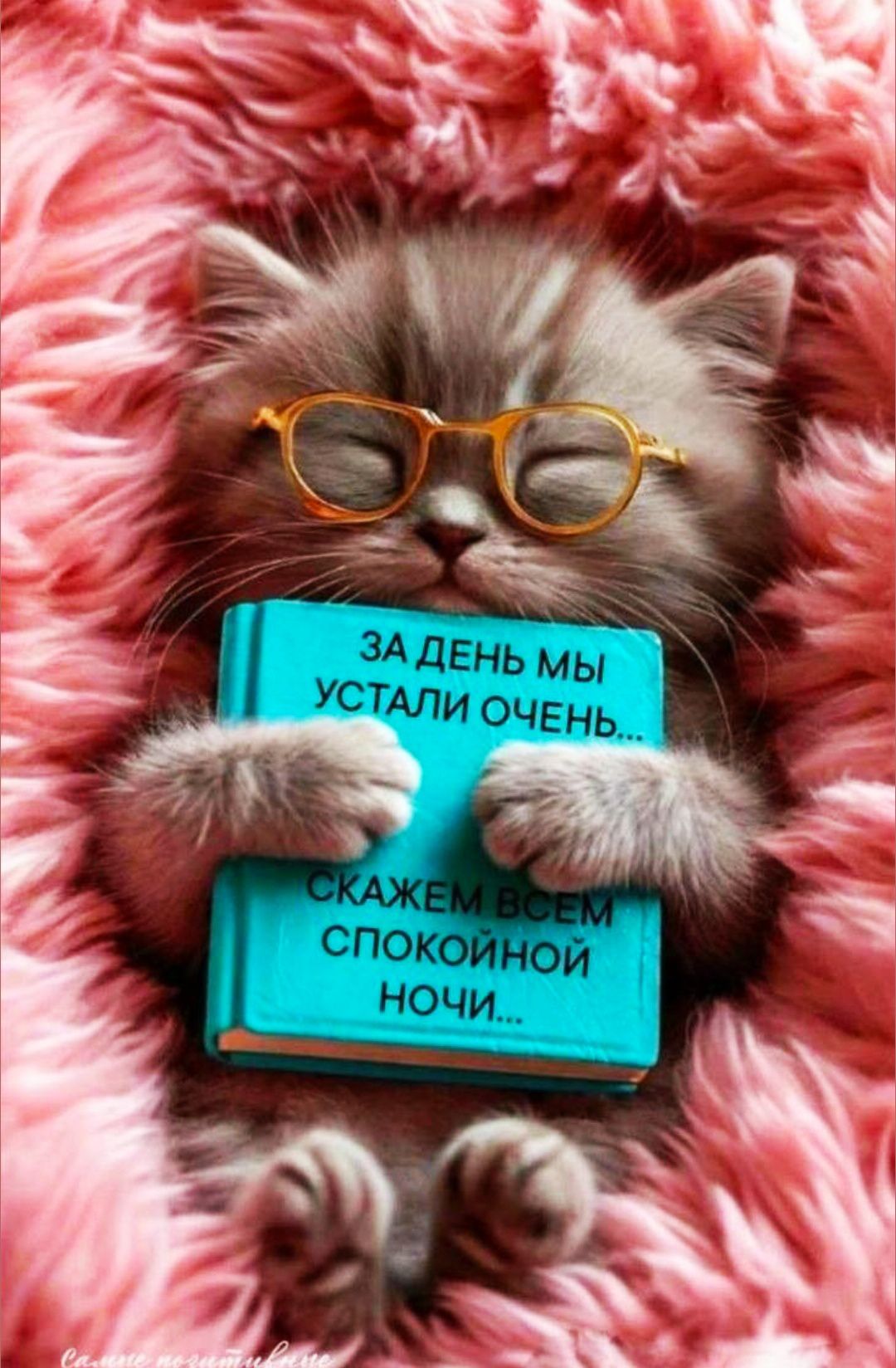 ЗА ДЕНЬ МЫ УСТАЛИ ОЧЕНЬ... СКАЖЕМ ВСЕМ СПОКОННОЙ НОЧИ...