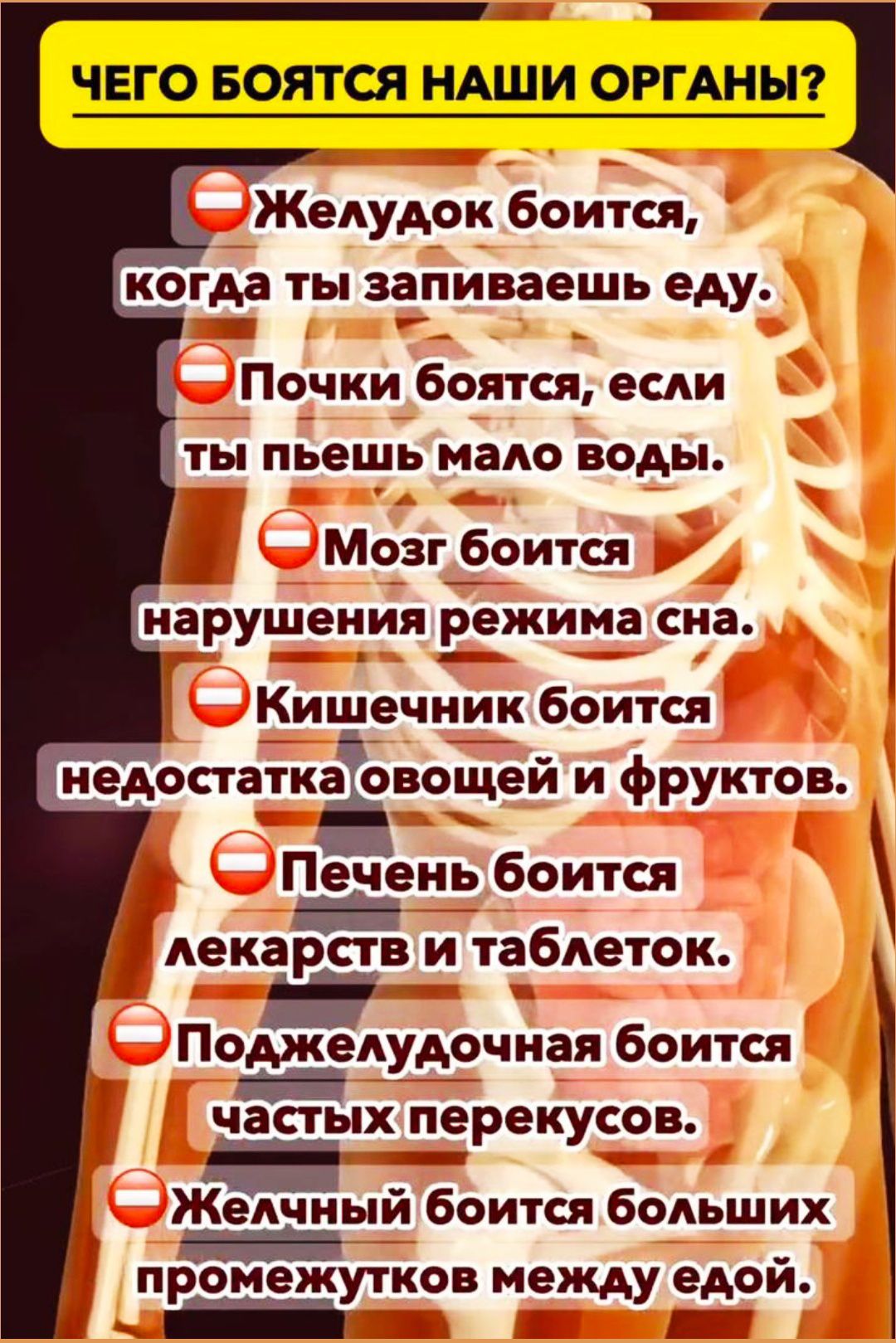ЧЕГО БОЯТСЯ НАШИ ОРГАНЫ?

- Желудок боится, когда ты запиваешь еду.
- Почки боятся, если ты пьешь мало воды.
- Мозг боится нарушения режима сна.
- Кишечник боится недостатка овощей и фруктов.
- Печень боится лекарств и таблеток.
- Поджелудочная боится частых перекусов.
- Желчный боится больших промежутков между едой.