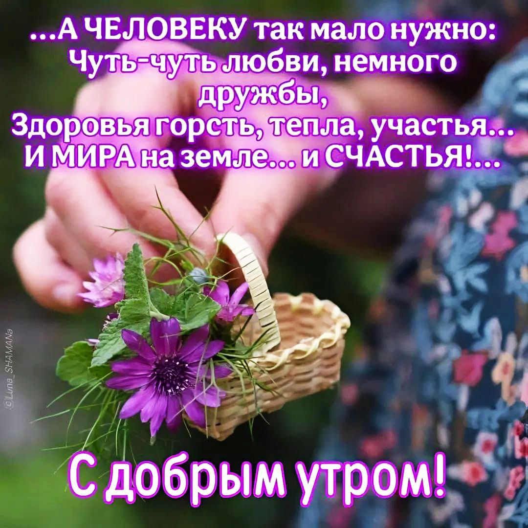 ...А ЧЕЛОВЕКУ так мало нужно: Чуть-чуть любви, немного дружбы, Здоровья горсть, тепла, участия... И МИРА на земле... и СЧАСТЬЯ!... С ДОБРЫМ УТРОМ!
