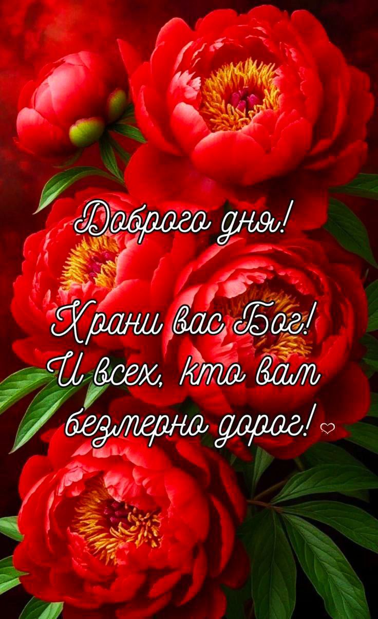 Доброего дня! Храни вас Бог! И всех, кто вам безмерно дорог!