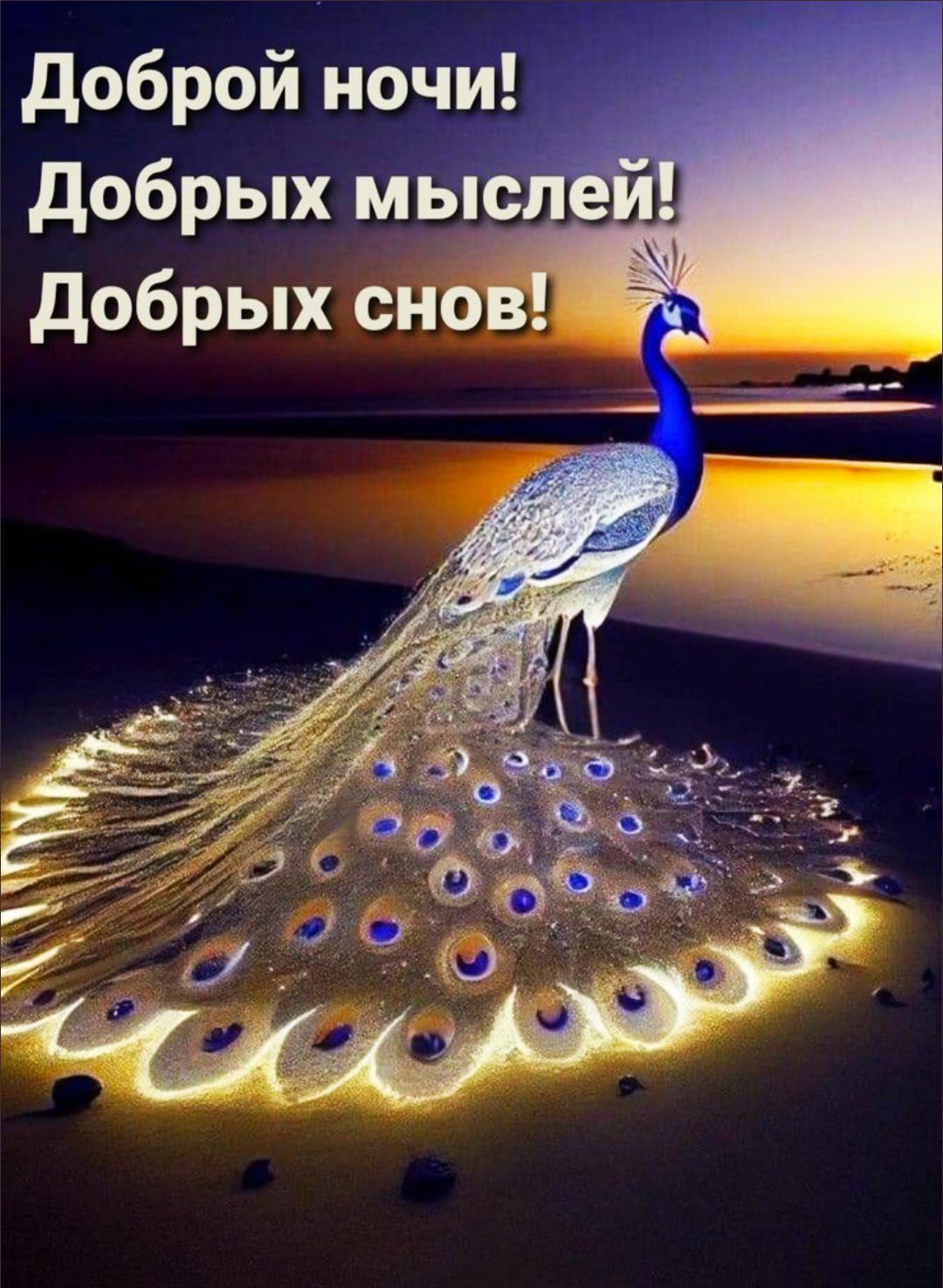 Доброй ночи! Добрых мыслей! Добрых снов!