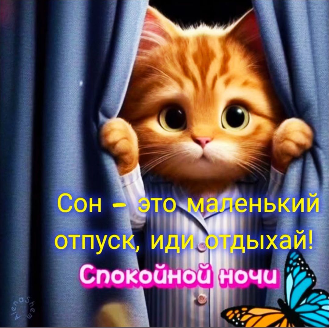 Сон – это маленький отпуск, иди отдыхай! Спокойной ночи