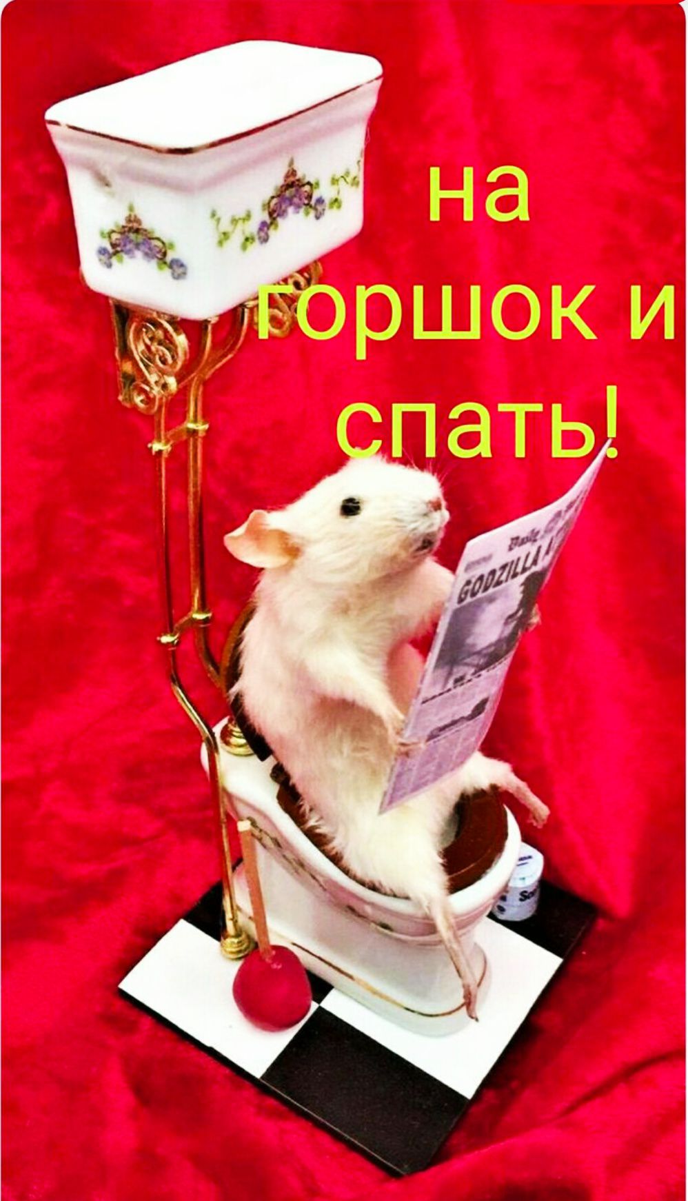 на горшок и спать!