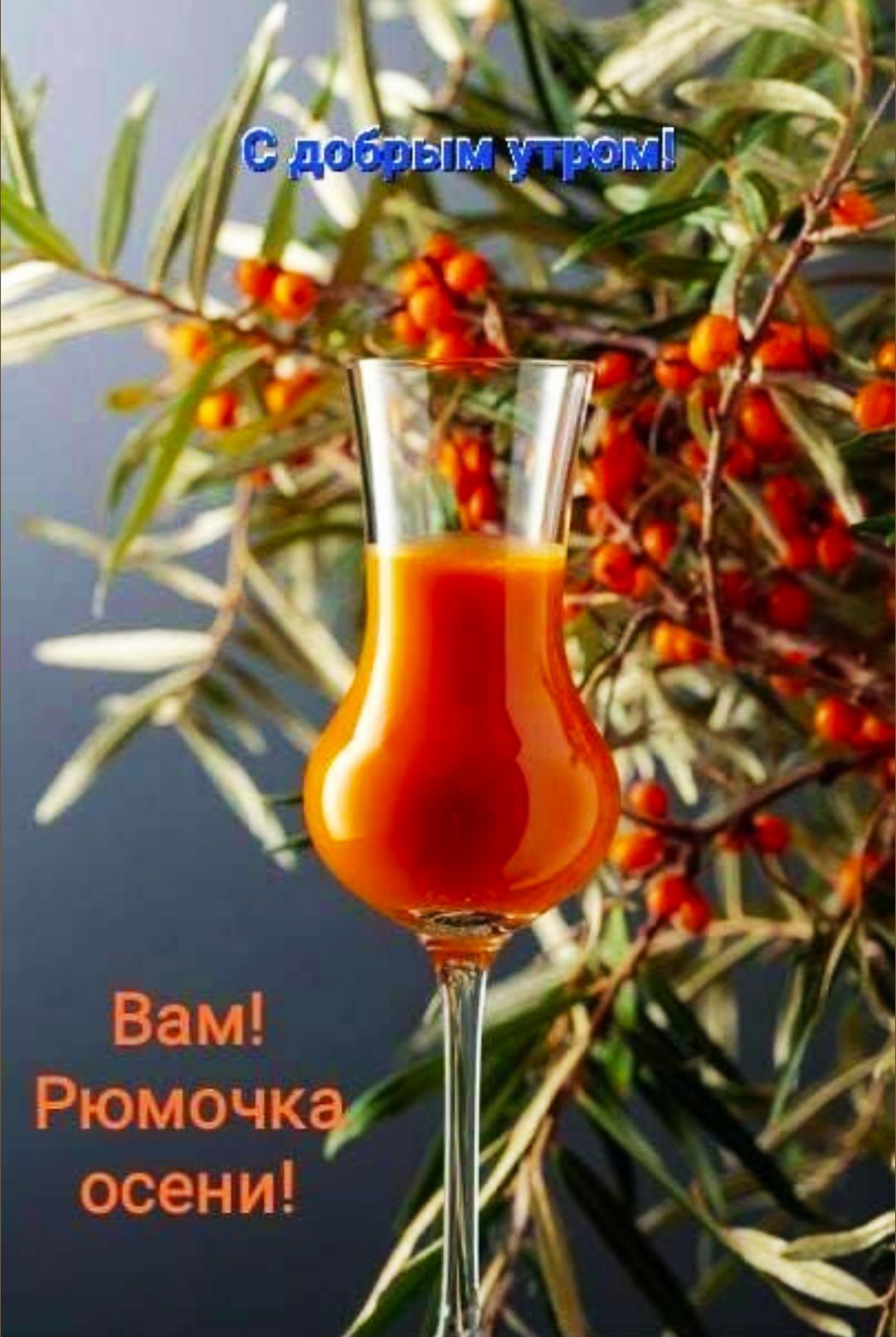 С добрым утром!
Вам! Рюмочка осени!