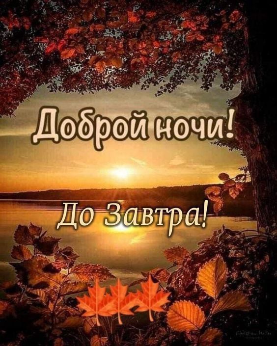 Доброй ночи! До Завтра!
