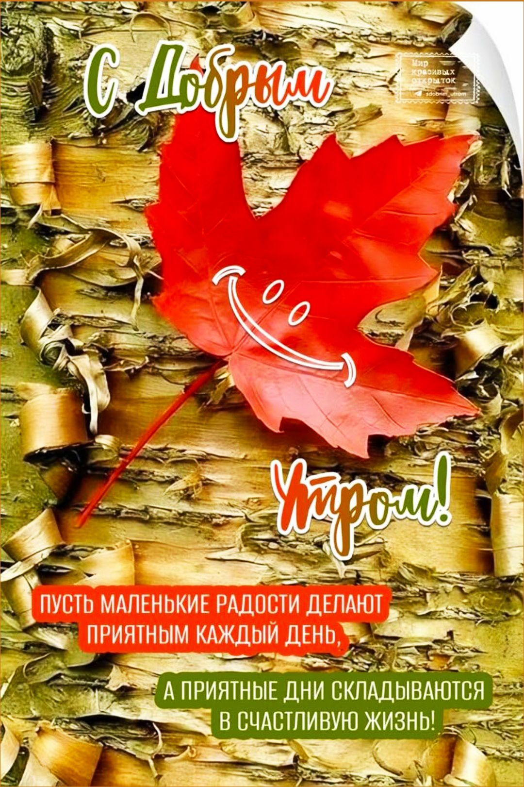 С Добрым Утром! ПУСТЬ МАЛЕНЬКИЕ РАДОСТИ ДЕЛАЮТ ПРИЯТНЫМ КАЖДЫЙ ДЕНЬ, А ПРИЯТНЫЕ ДНИ СКЛАДЫВАЮТСЯ В СЧАСТЛИВУЮ ЖИЗНЬ!