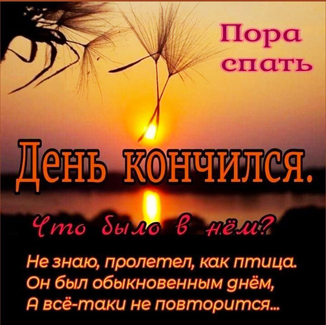 Пора спать
День кончился.
Что было в нём?
Не знаю, пролетел, как птица.
Он был обыкновенным днём,
А всё-таки не повторится...