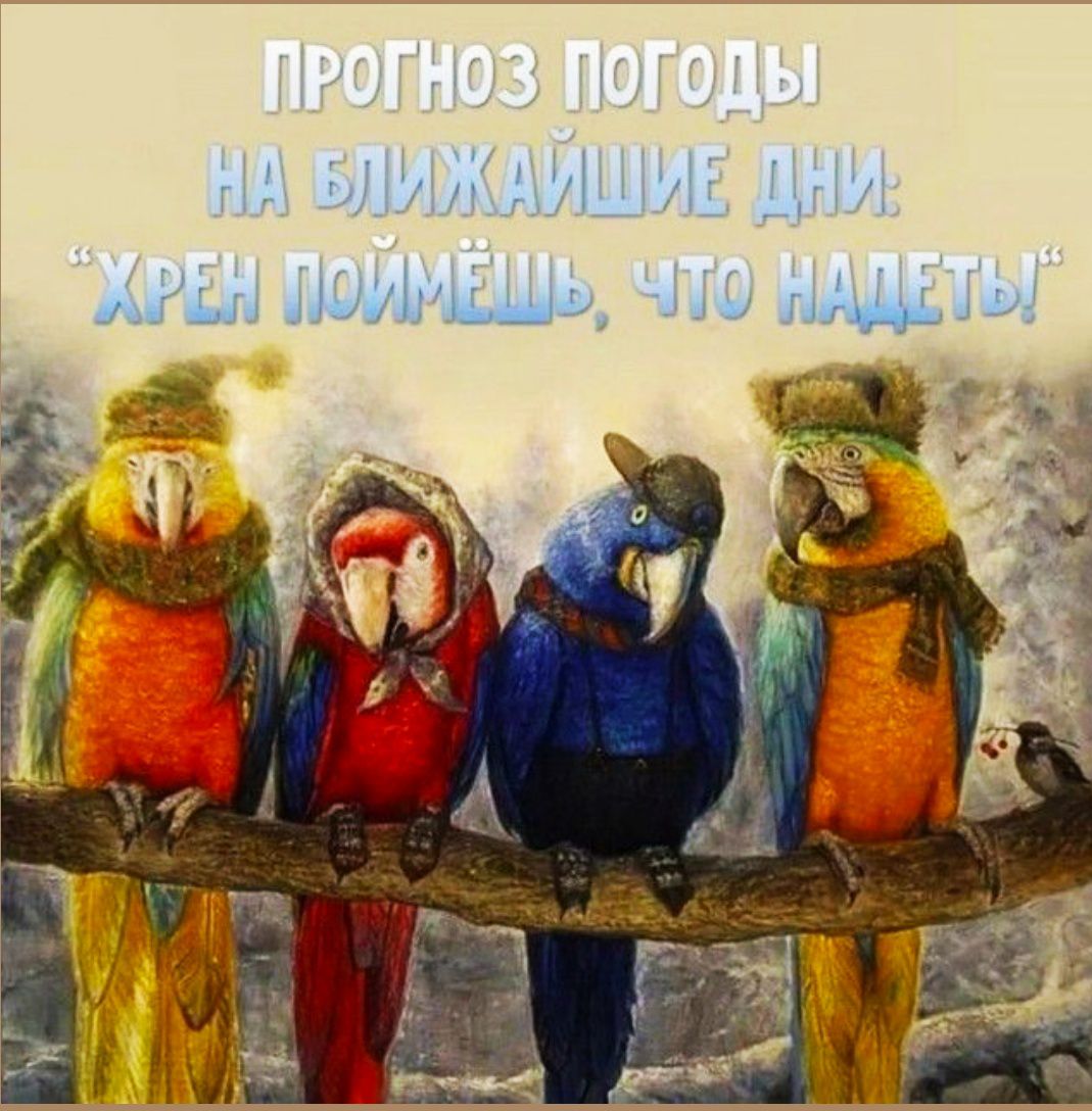 ПРОГНОЗ ПОГОДЫ НА БЛИЖАЙШИЕ ДНИ: 