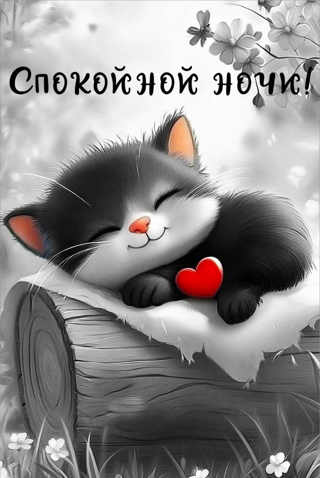 Спокойной ночи!