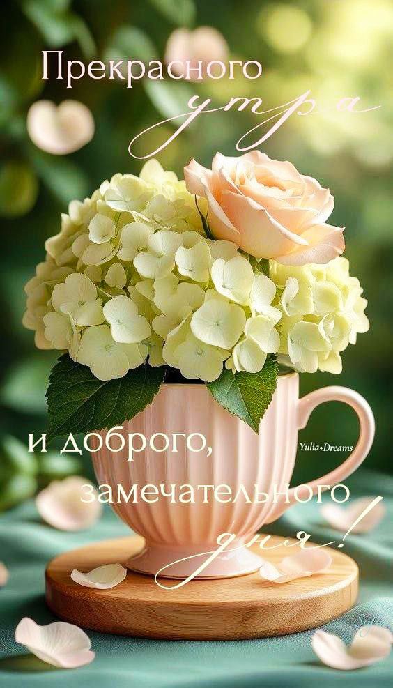 Прекрасного утра и доброго, замечательного дня!
