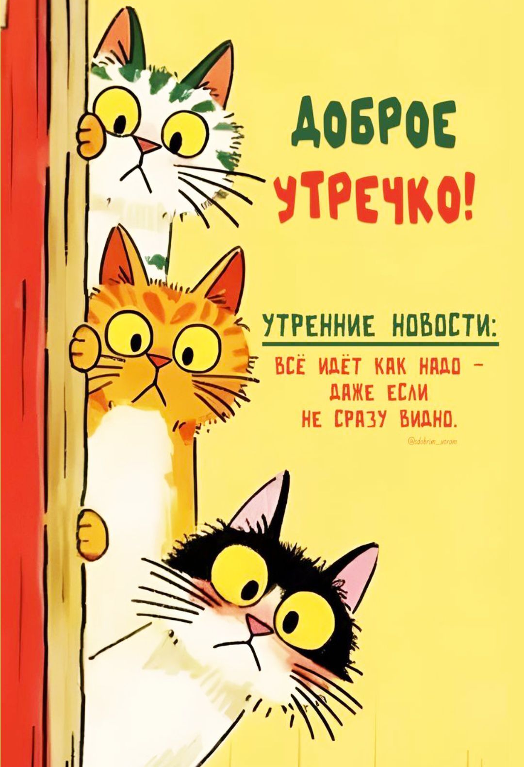 ДОБРОЕ УТРОЧКО!

УТРЕННИЕ НОВОСТИ: 
ВСЁ ИДЁТ КАК НАДО –
ДАЖЕ ЕСЛИ НЕ СРАЗУ ВИДИНО.