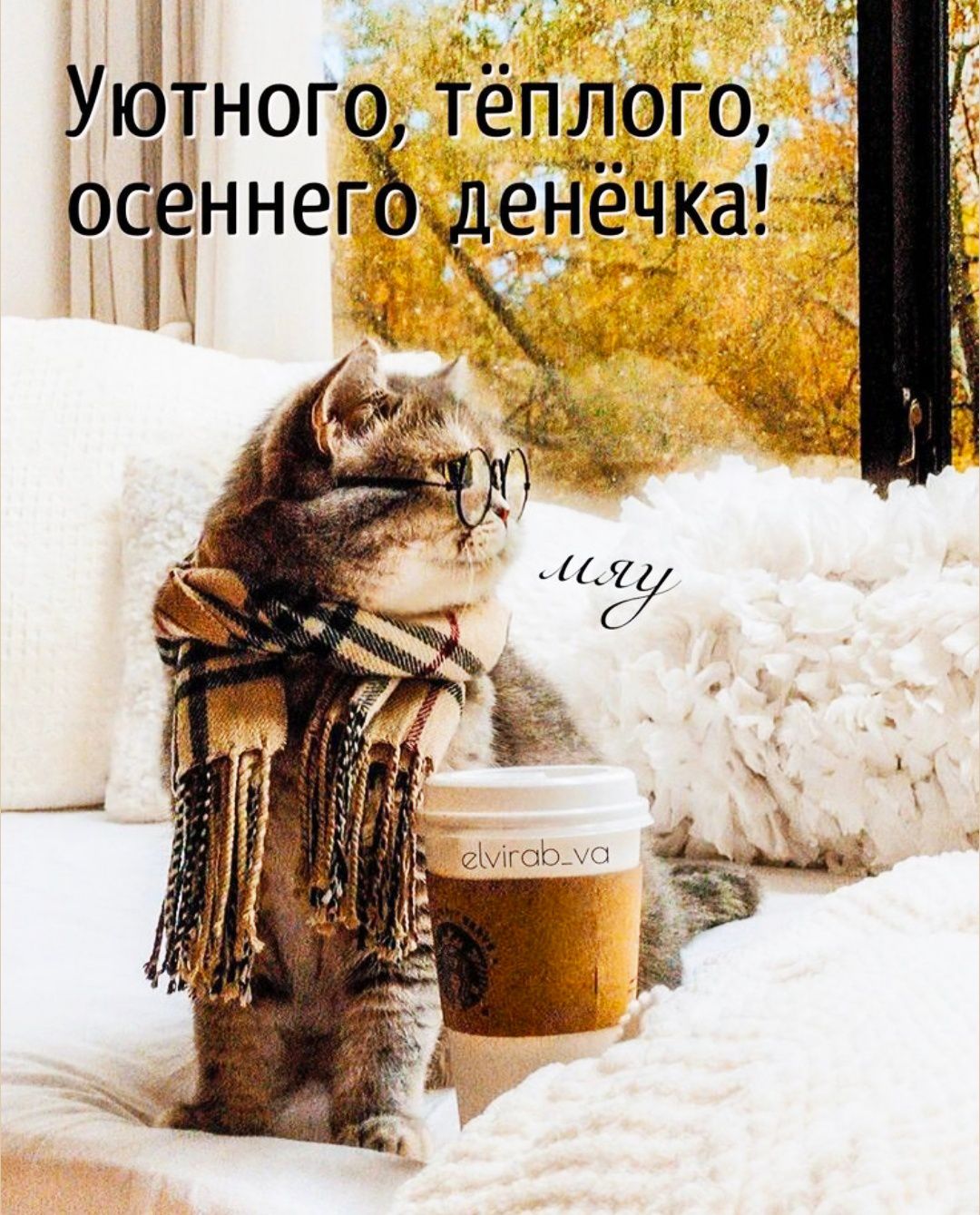 Уютного, тёплого, осеннего денёчка!