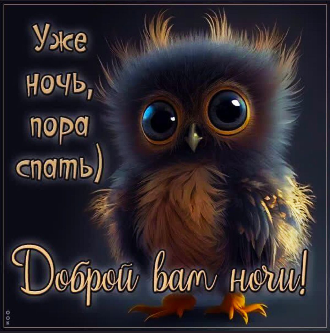 Уже ночь, пора спать) Доброй вам ночи!