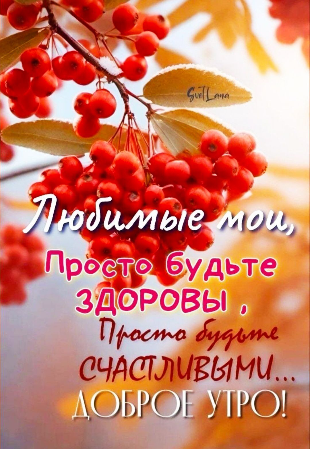 Любимые мои, Просто будьте ЗДОРОВЫ , Просто будьте СЧАСТЛИВЫМИ... ДОБРОЕ УТРО!