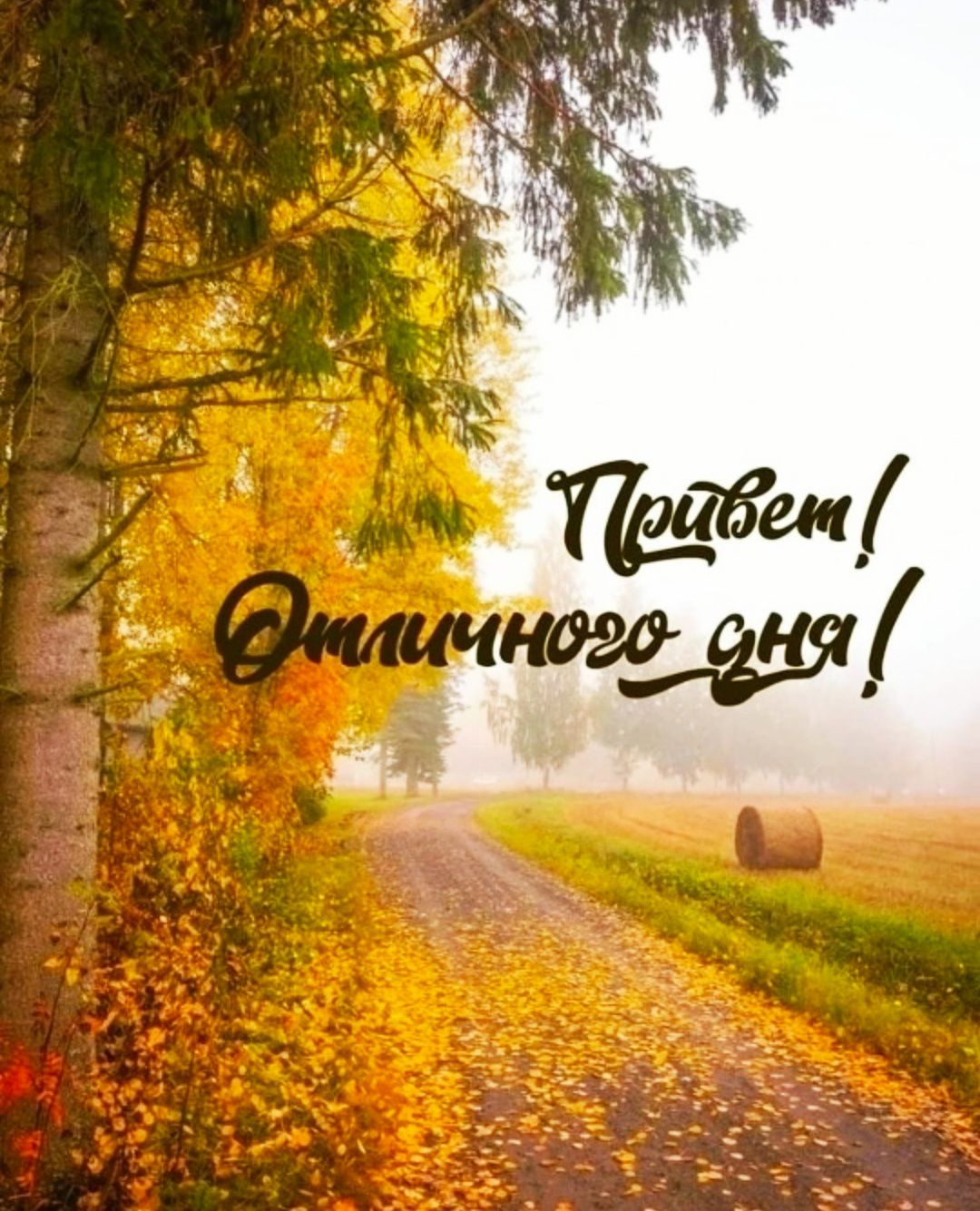 Привет! Отличного дня!