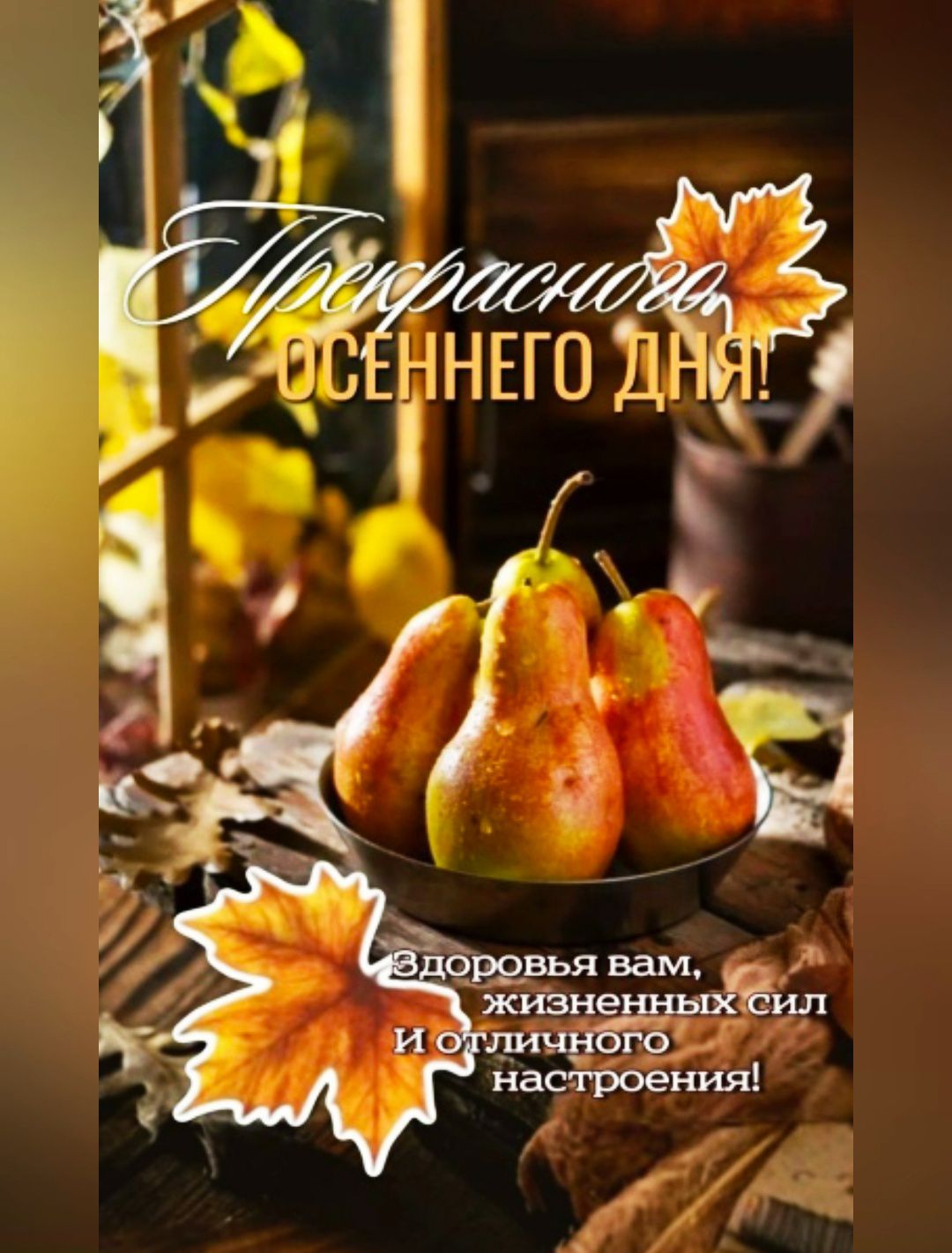 Прекрасного осеннего дня! Здоровья вам, жизненных сил и отличного настроения!