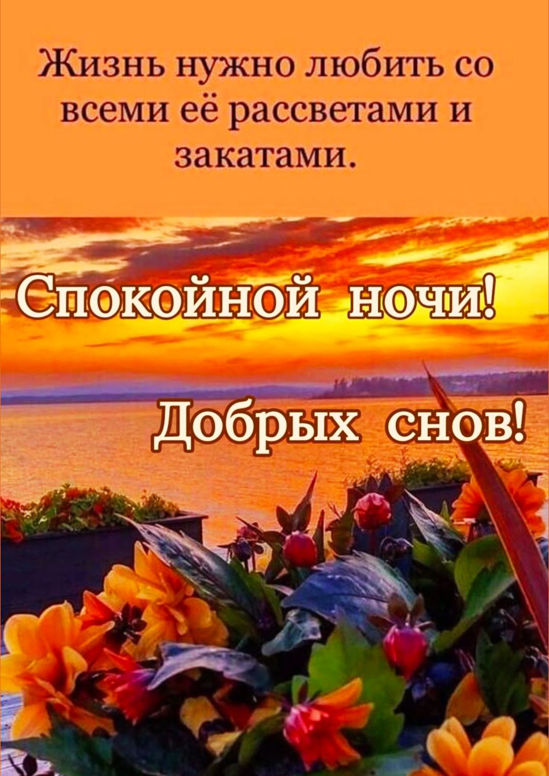 Жизнь нужно любить со всеми её рассветами и закатами.
Спокойной ночи!
Добрых снов!