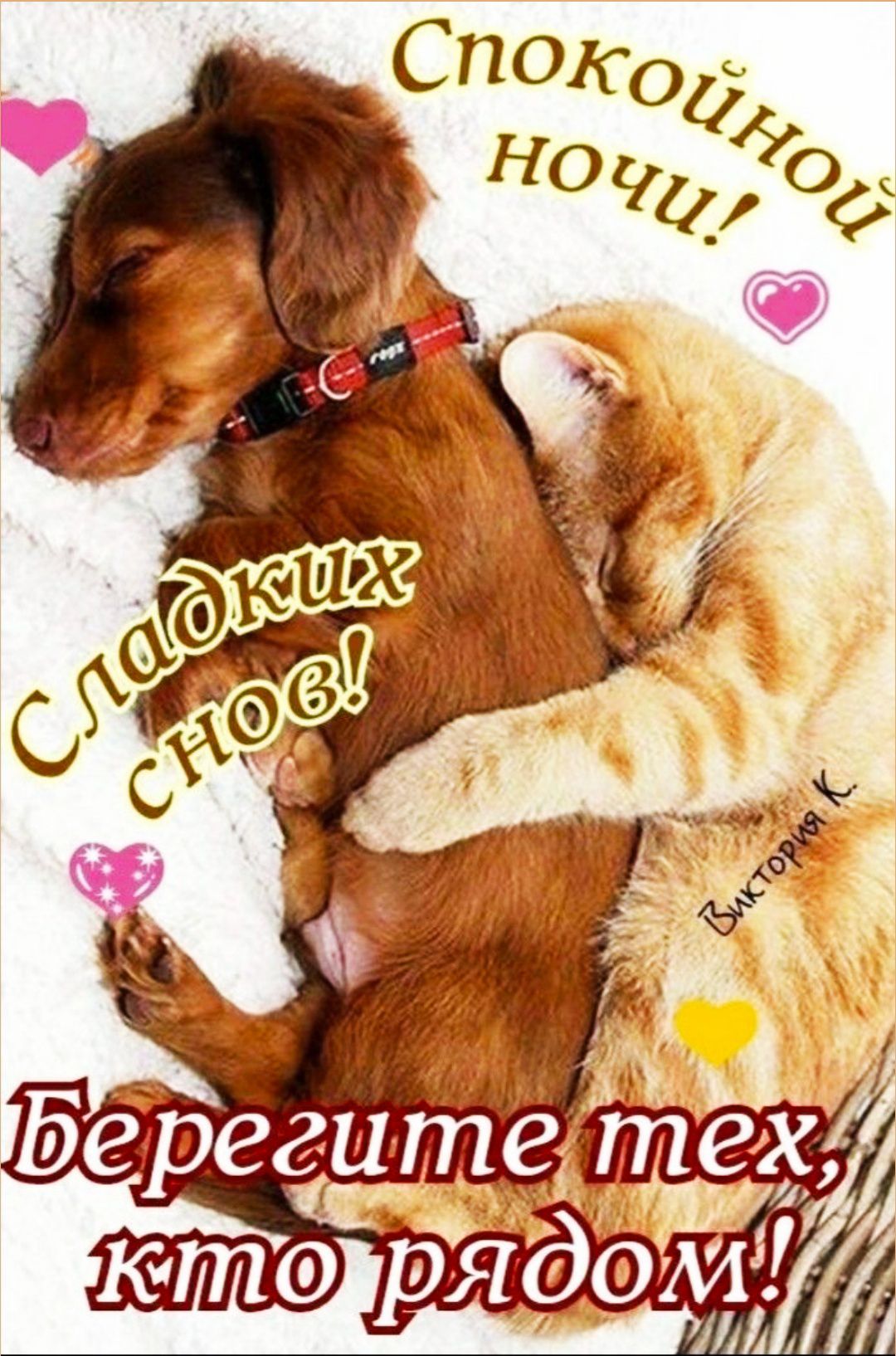 Спокойной ночи! Сладких снов! Берегите тех, кто рядом!