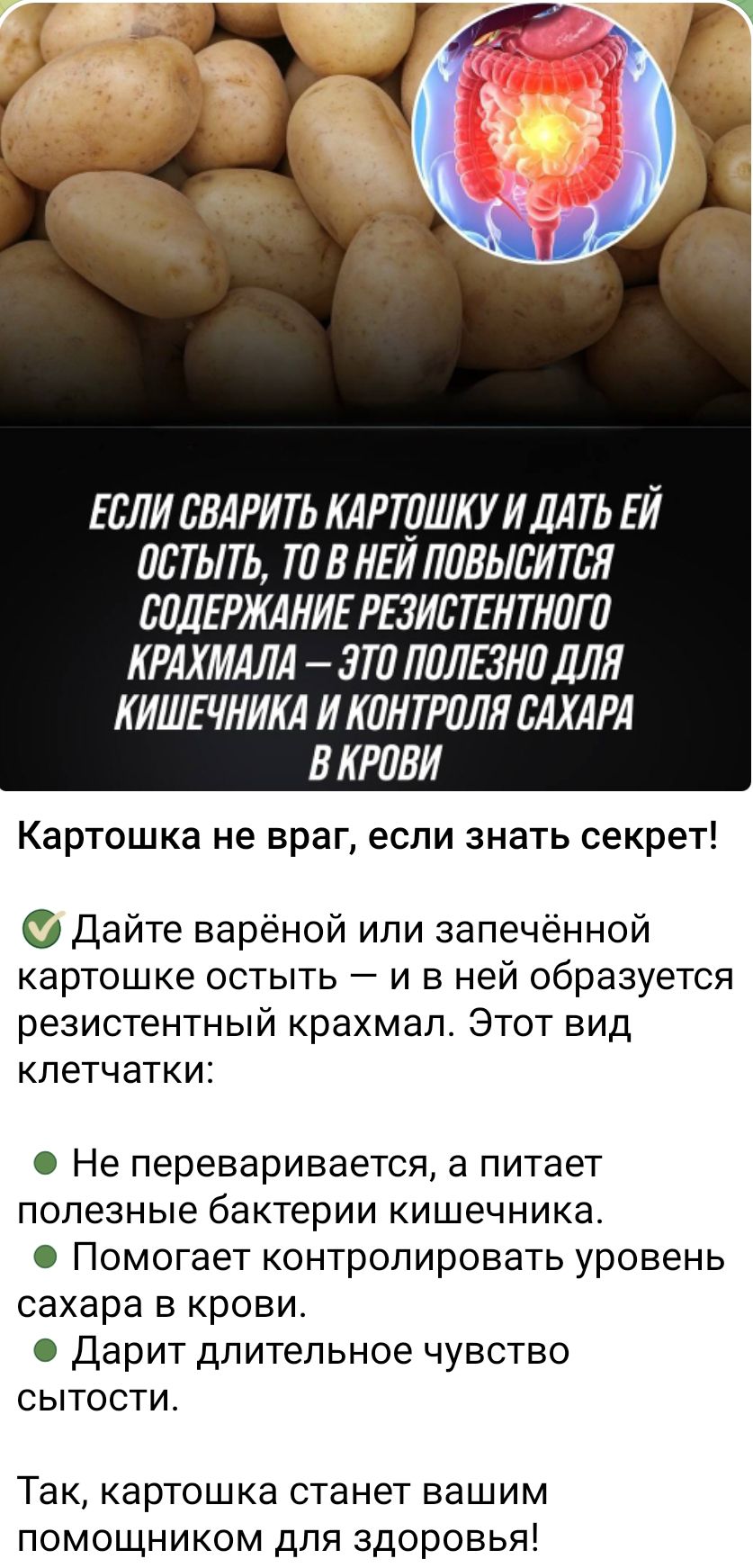 ЕСЛИ СВАРИТЬ КАРТОШКУ И ДАТЬ ЕЙ ОСТЫТЬ, ТО В НЕЙ ПОВЫСИТСЯ СОДЕРЖАНИЕ РЕЗИСТЕНТНОГО КРАХМАЛА – ЭТО ПОЛЕЗНО ДЛЯ КИШЕЧНИКА И КОНТРОЛЯ САХАРА В КРОВИ

Картушка не враг, если знать секрет!

✅ Дайте варёной или запечённой картошке остыть — и в ней образуется резистентный крахмал. Этот вид клетчатки:

- Не переваривается, и питает полезные бактерии кишечника.
- Помогает контролировать уровень сахара в крови.
- Дарит длительное чувство сытости.

Так, картошка станет вашим помощником для здоровья!