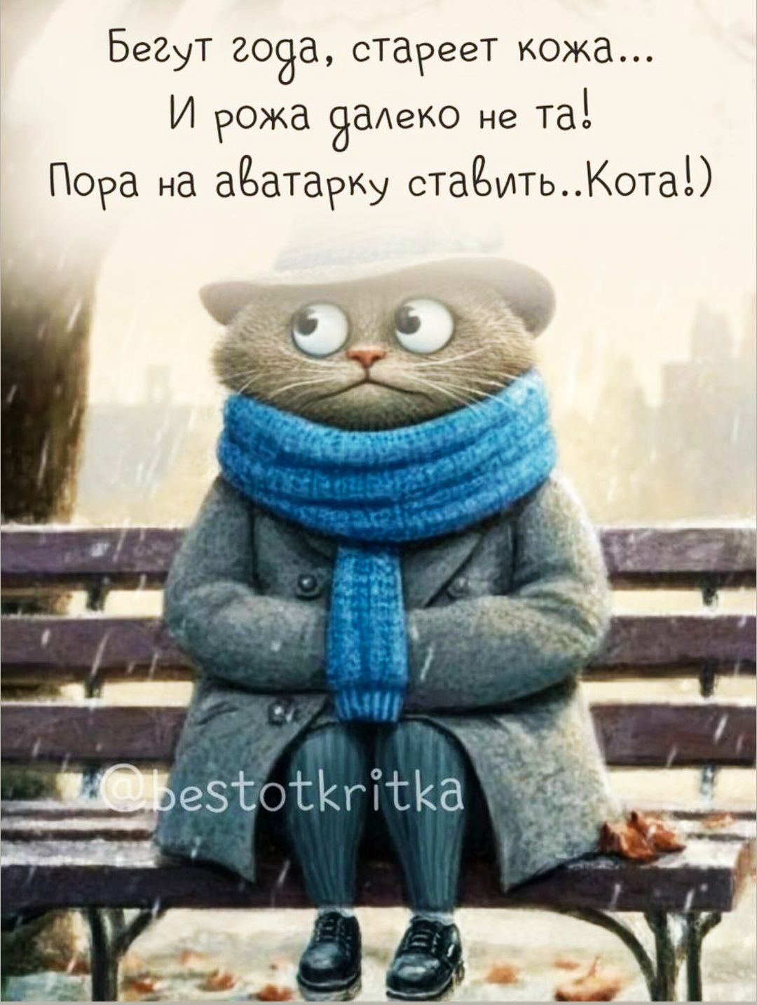 Бегут года, стареет кожа... И рожa далеко не та! Пора на аватарку ставить..Кота!)