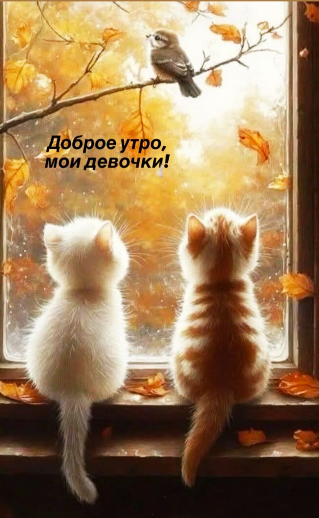 Доброе утро, мои девочки!