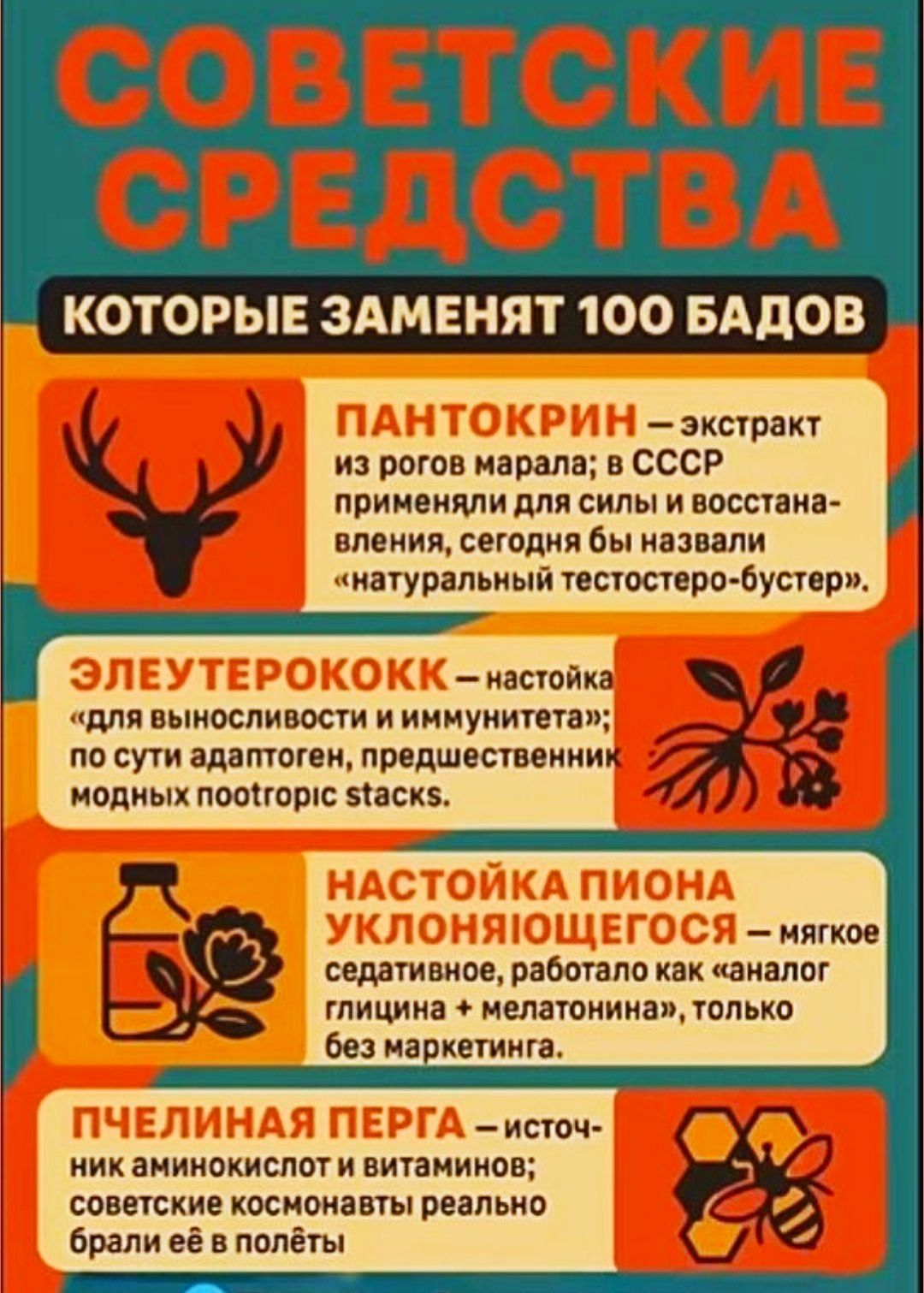 СОВЕТСКИЕ СРЕДСТВА
Которые заменят 100 БАДов

ПАНТОКРИН — экстракт из рогов марала; в СССР применяли для силы и восстанавления, сегодня бы назвали «натуральный тестостерон-бустер».

ЭЛЕУТЕРОКОКК — настойка «для выносливости и иммунитета»; по сути адаптоген, предшественник модных ноотропов.

НАСТОЙКА ПИОНА УКЛОНЯЮЩЕГОСЯ — мягкое седативное, работающее как аналог глицина + мелатонина, только без маркетинга.

ПЧЕЛИНАЯ ПЕРГА — источник аминокислот и витаминов; советское космонавты брали её в полёты.