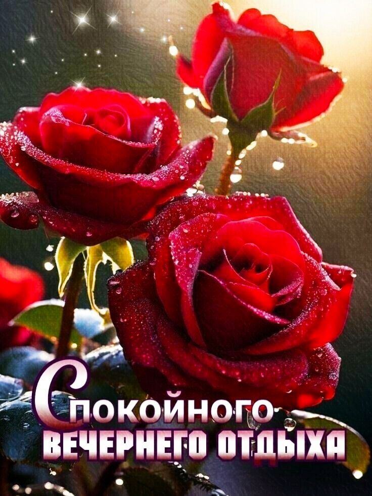 Спокойного вечернего отдыха