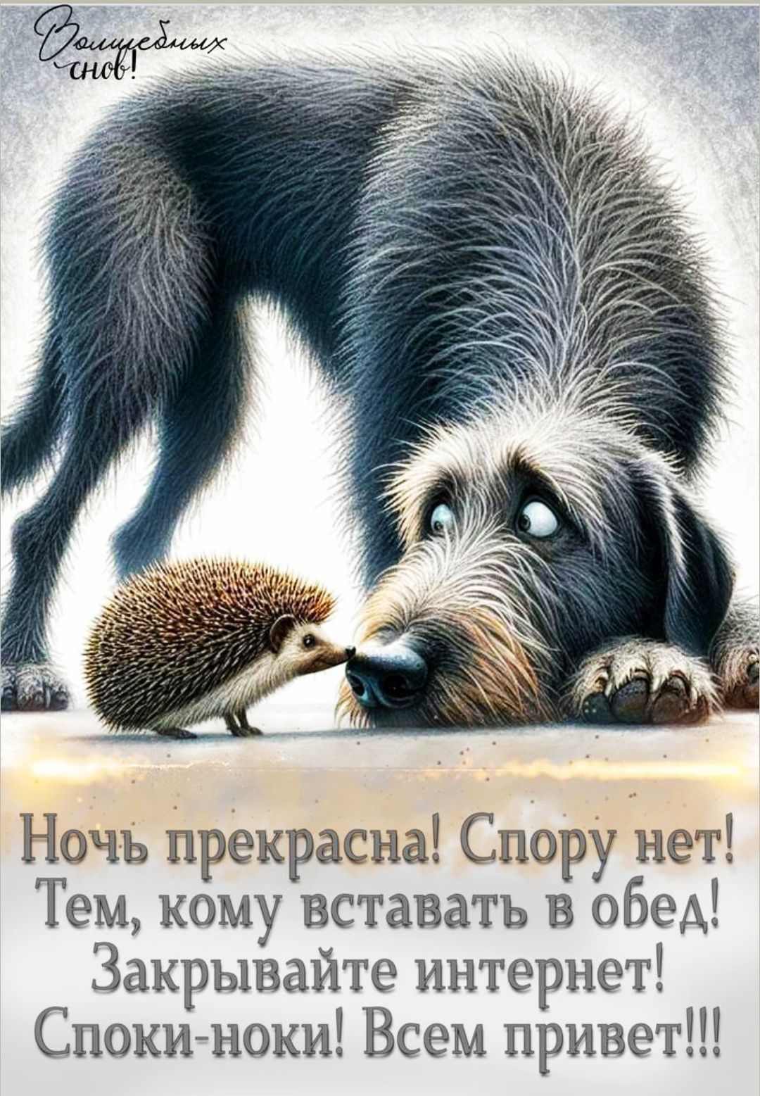 Сладких снов! Ночь прекрасна! Спору нет! Тем, кому вставать в обед! Закрывайте интернет! Споки-ноки! Всем привет!!!