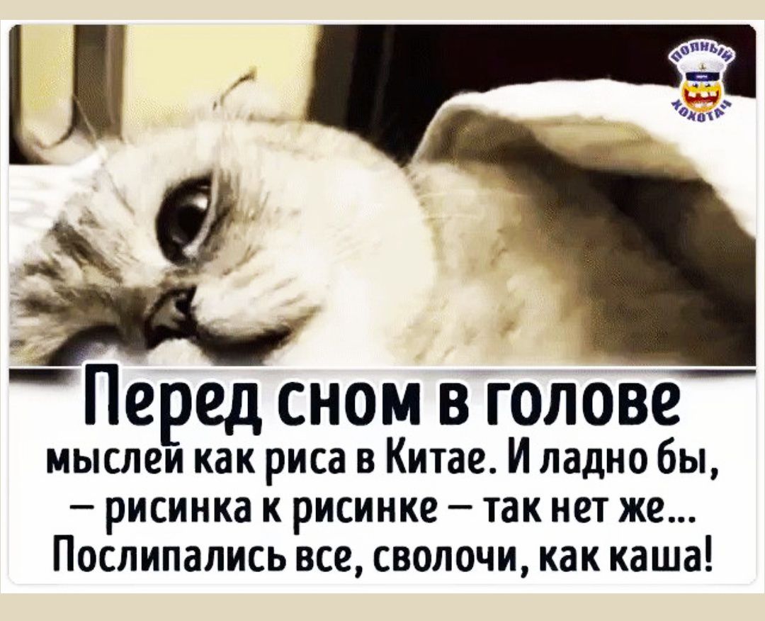 Перед сном в голове мысли как риса в Китае. И ладно бы, – рисинка к рисинке – так нет же... Послипались все, сволочи, как каша!